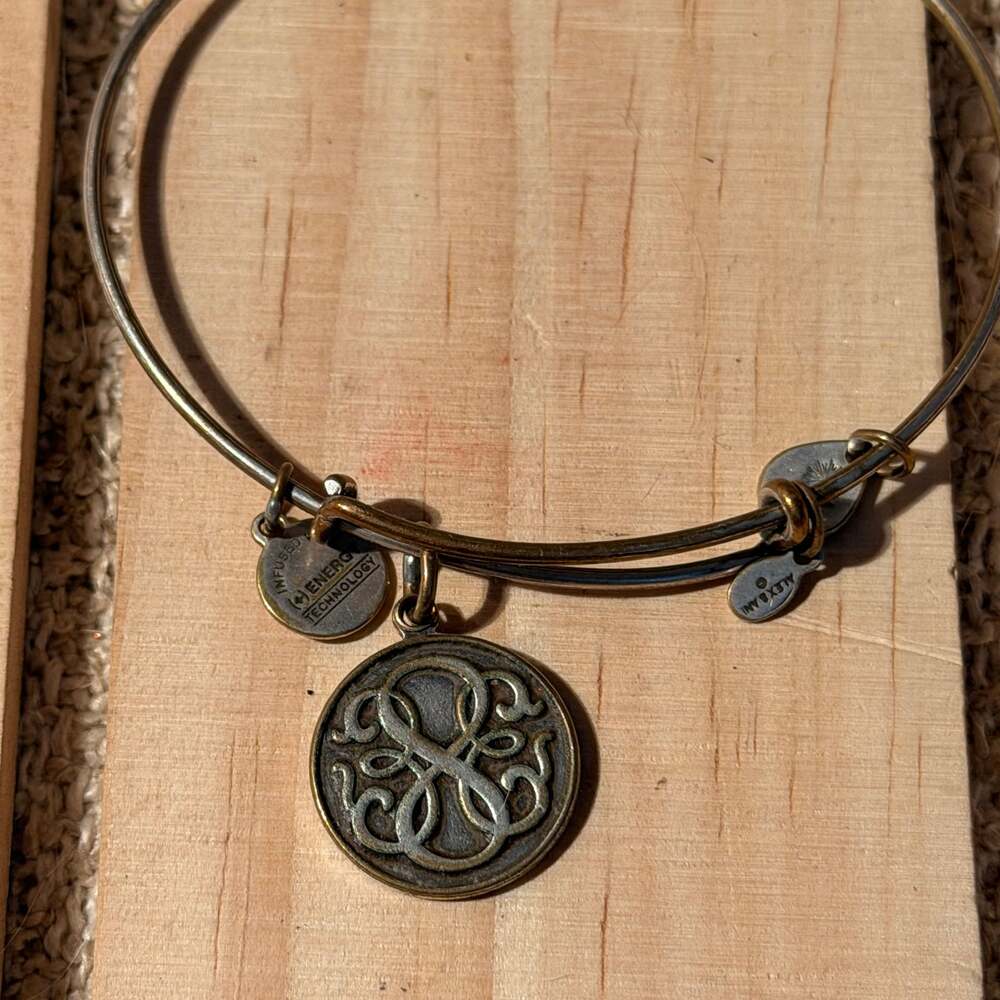 Alex and Ani Path of Life Charm Bracelet Infinity Symbol Silver Tone 2014